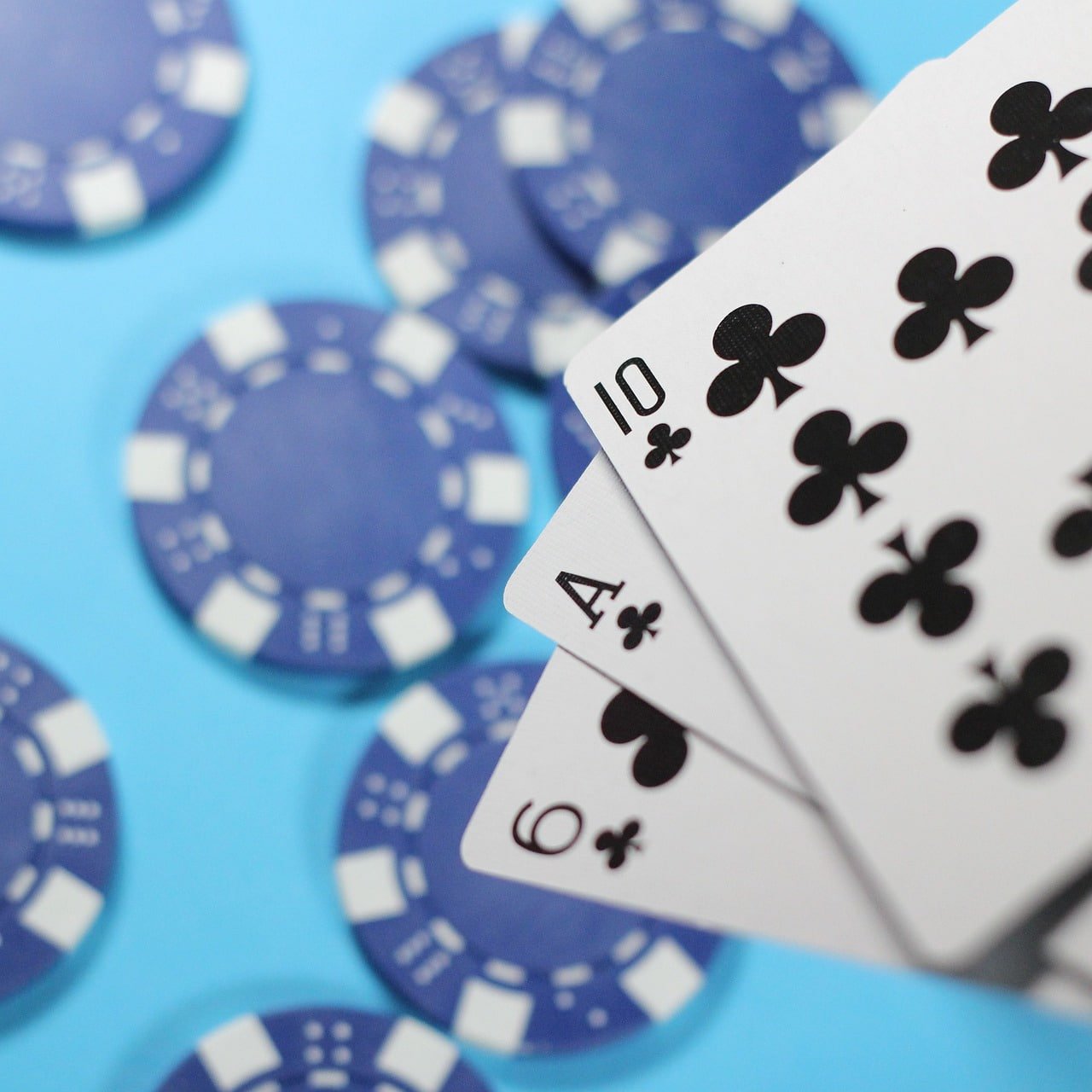 cc777 Live Casino